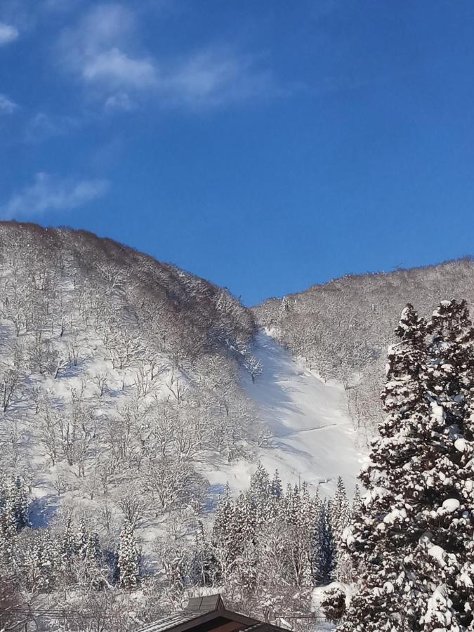 Kagura Mitsumata Cottage Yuzawa  Zewnętrze zdjęcie